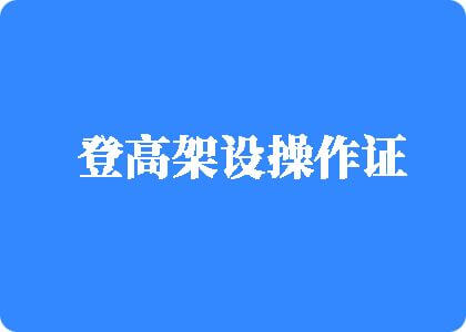 插喷视频网站登高架设操作证